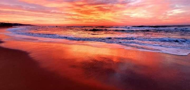 511 Umdloti Resort Beachfront 1Bed Self Catering Apartment Sea View Exteriör bild